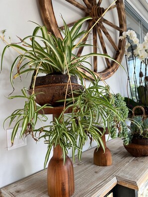 Una mesa de madera con una planta en maceta y una rueda de madera rústica.