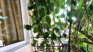 Standard Studio | Terrace/patio - Olive Garden Apartments Petrovic (Becici)