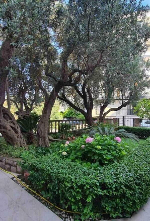 Garden - Olive Garden Apartments Petrovic (Becici)