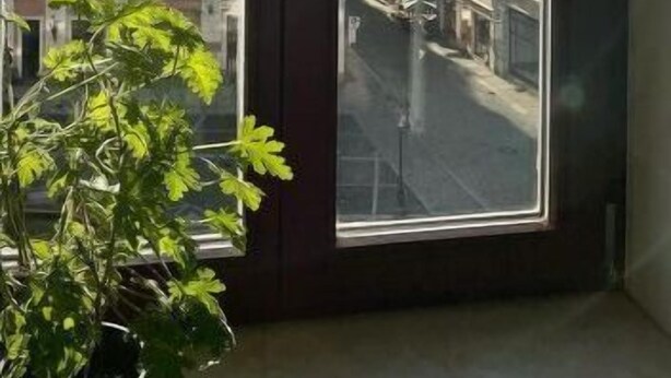 Ein Eckfenster mit Blick auf eine Straße und Gebäude.