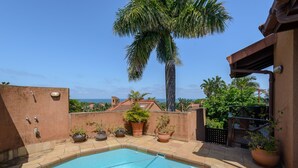 A rooftop pool with a clear view of the ocean, surrounded by potted plants and a palm tree.