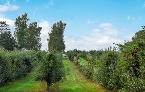 Property grounds - Lovely home in Simrishamn with kitchen (Simrishamn)