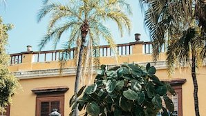 A building with a yellow facade, a balcony, and a large planter with a tree.