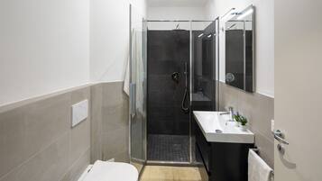 Un baño moderno con ducha envuelta en vidrio, inodoro blanco y lavamanos con espejo.
