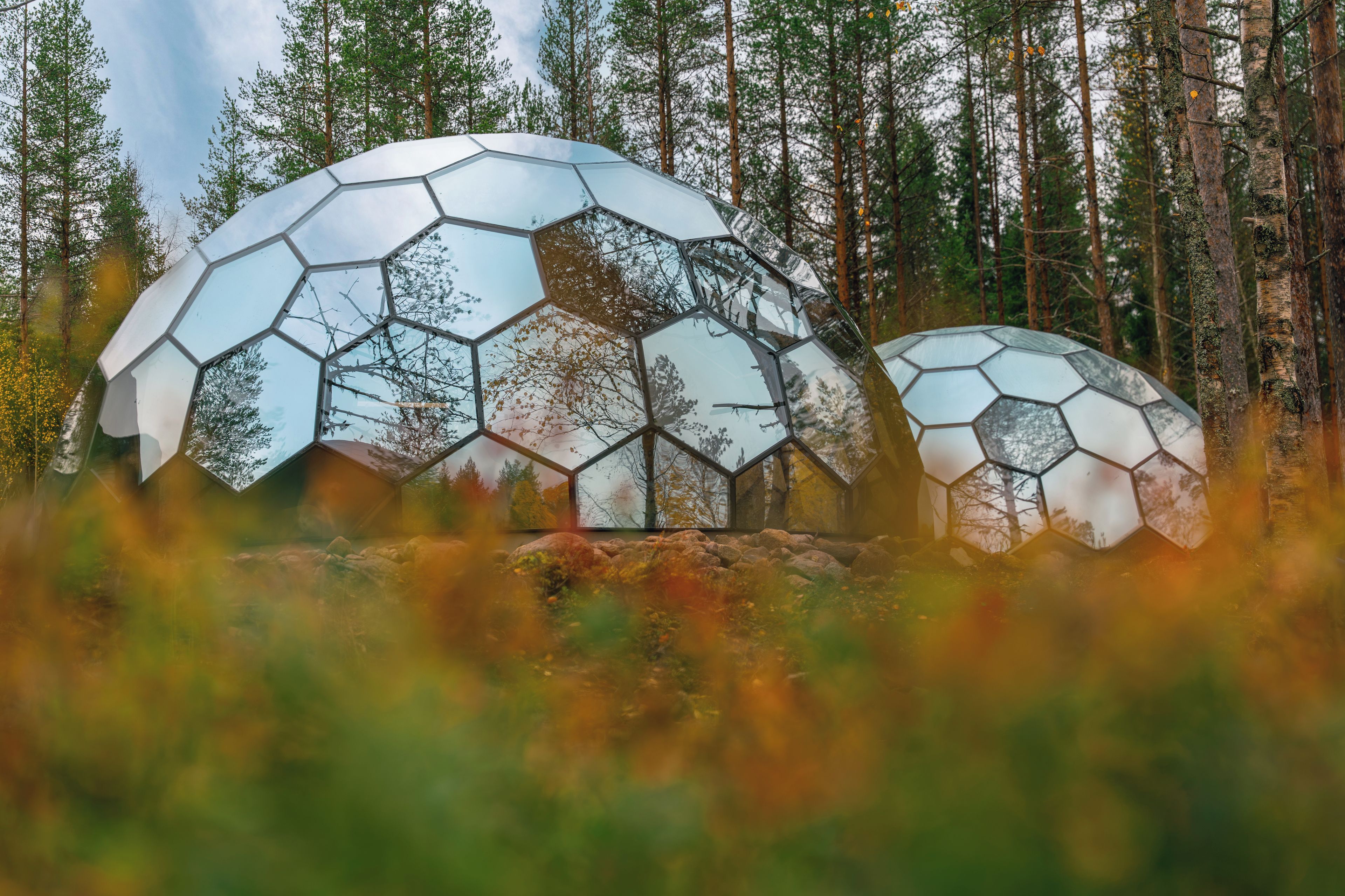 Dos estructuras en forma de cúpula geodésica en un entorno forestal.