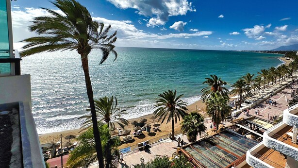 Une plage avec des palmiers, un ciel dégagé et une mer calme.
