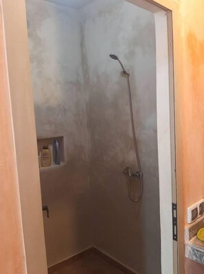 Shower area with showerhead and handheld shower attachment.