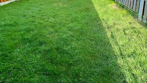Nhà tiện nghi đơn giản | Quang cảnh vườn