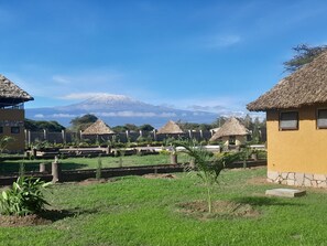 Exterior - PENETY AMBOSELI RESORT (Kimana)