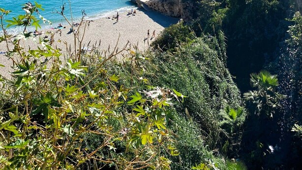 Beach - HC Calahonda Beach Nerja (Nerja)