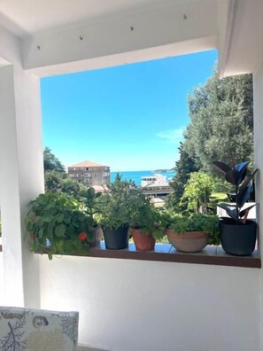 View from room