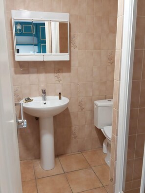 Een haardroger, handdoeken, zeep, toiletpapier