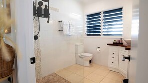 Chuveiro, secador de cabelo, toalhas de banho 