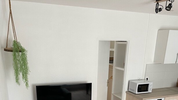A modern living room with a flat-screen TV, a grey sofa, a small wooden table, a washing machine, and a hanging plant.
