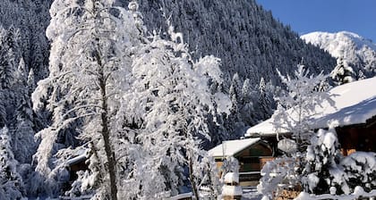 Spacieux Appartement Dans un Authentique Chalet à Châtel