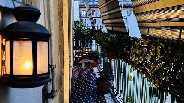 A narrow outdoor corridor with a patterned floor, potted plants, and a railing.