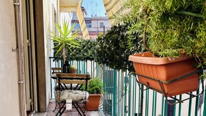 A narrow balcony with a tiled floor, a metal railing, and potted plants including roses.
