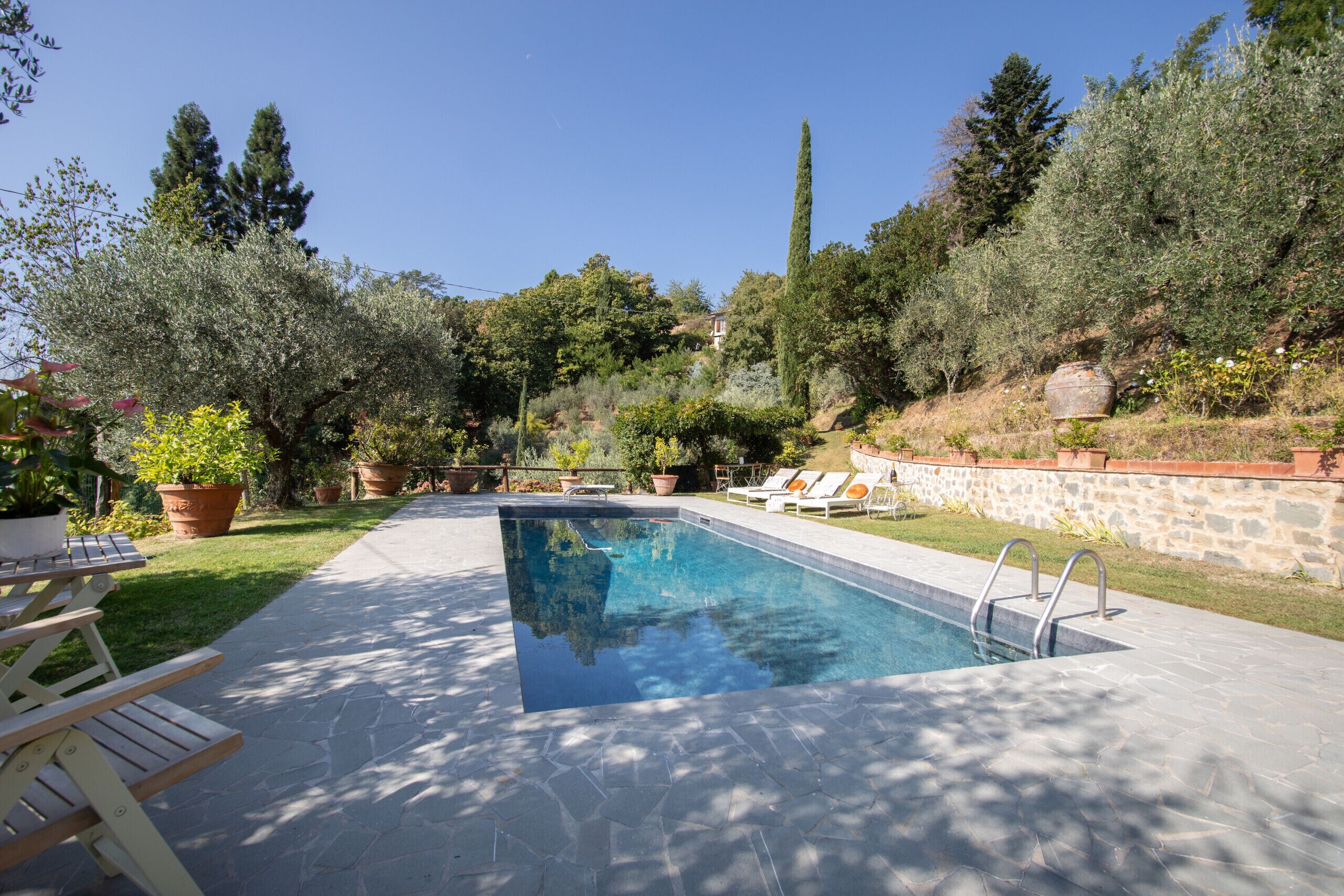 Une piscine rectangulaire bordée d’une terrasse en pierre, entourée de plantes en pot et d’arbres.