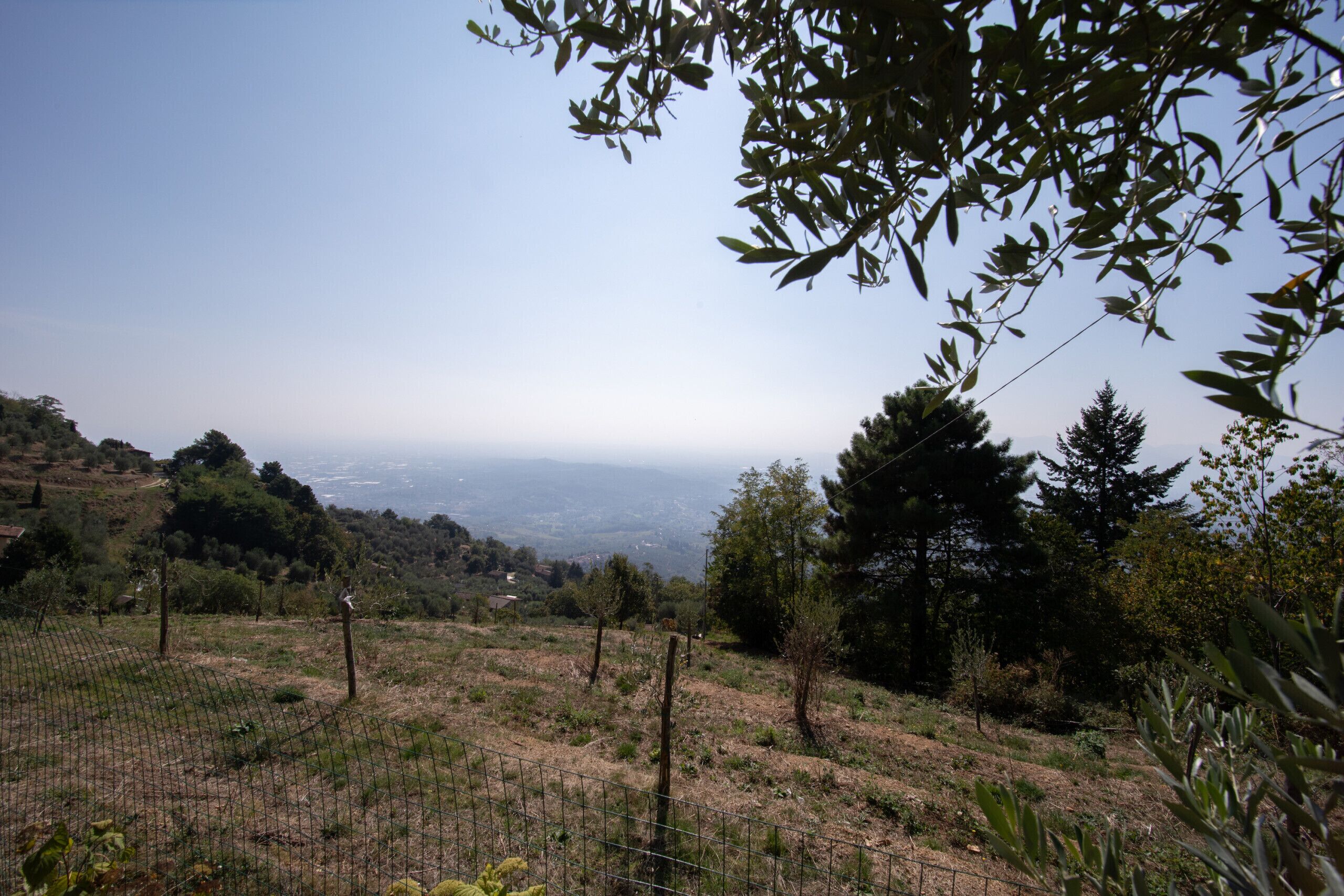 Un champ clôturé, avec des arbres, et une vue lointaine sur une ville.