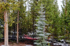 Property grounds - Pet-Friendly RMNP Adventure Base (Grand Lake)