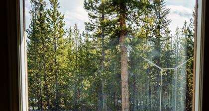 Family Cabin w/Yard Near RMNP & Lake