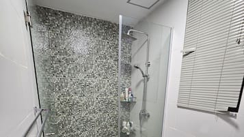 Shower, hair dryer, bidet, soap