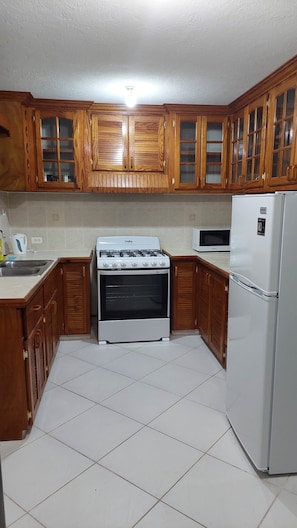 Basic Apartment | Private kitchen