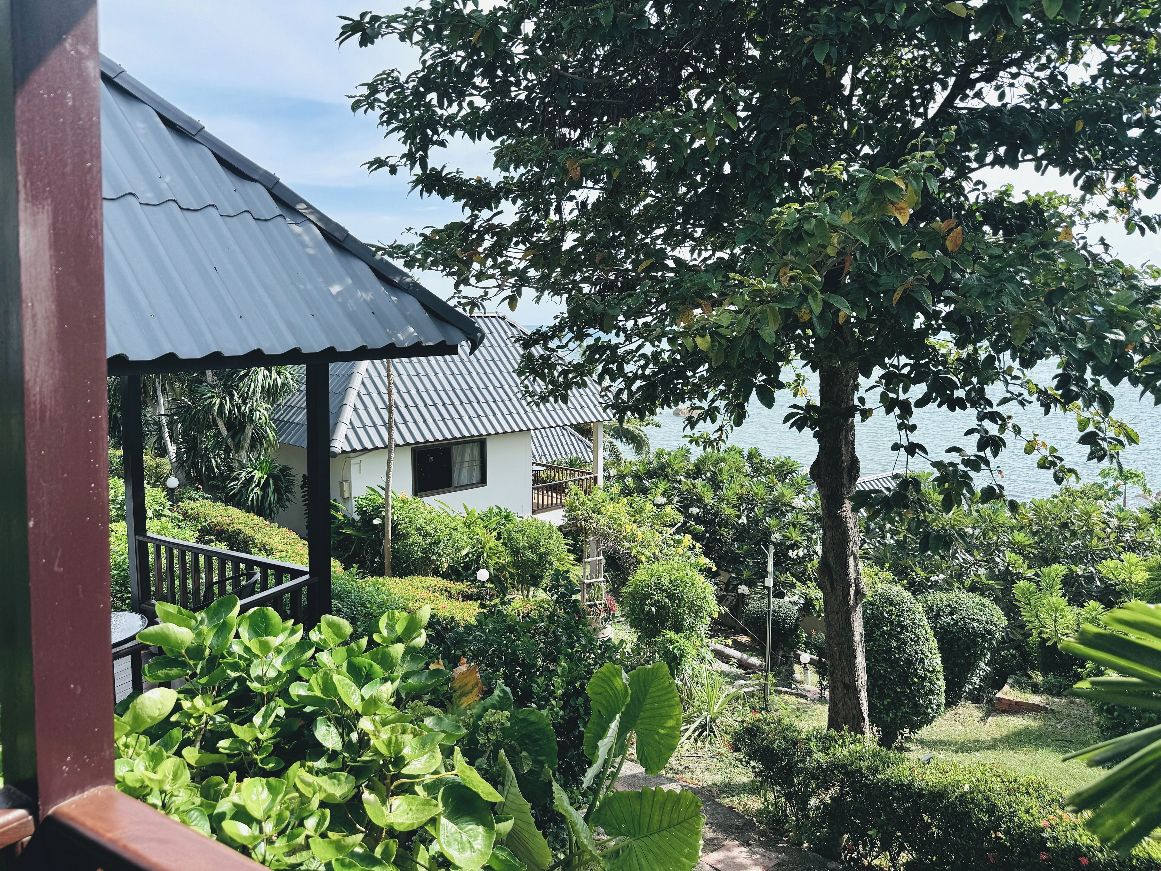 A house with a corrugated metal roof, surrounded by lush greenery and a view of the sea.