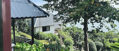 A house with a corrugated metal roof, surrounded by lush greenery and a view of the sea.