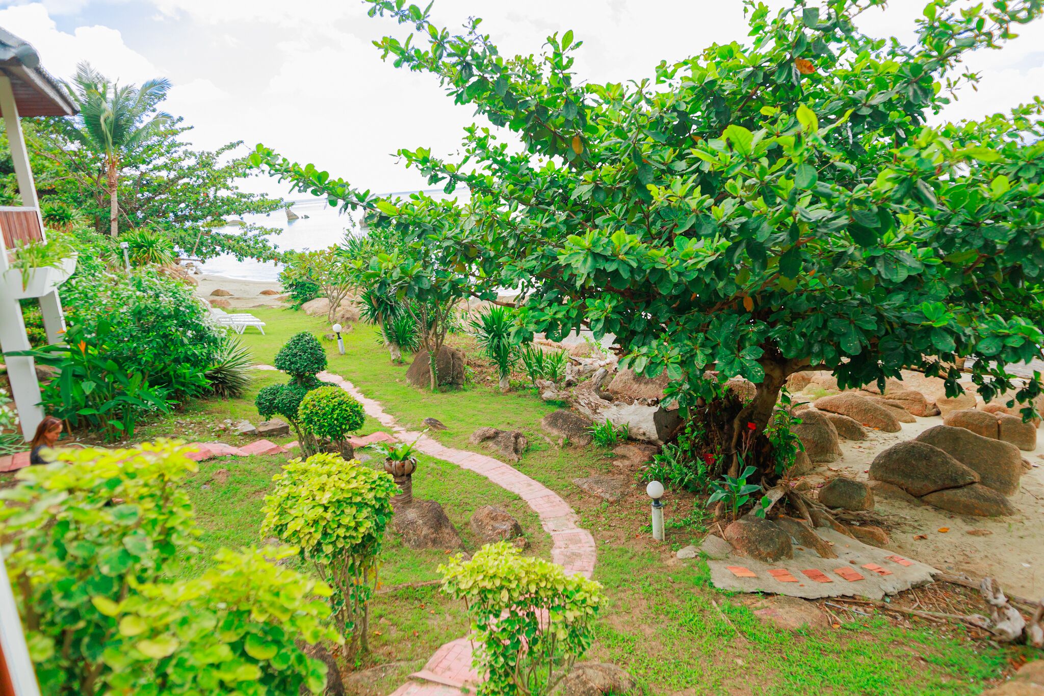 A garden with a winding path, various shrubs, and a large tree.