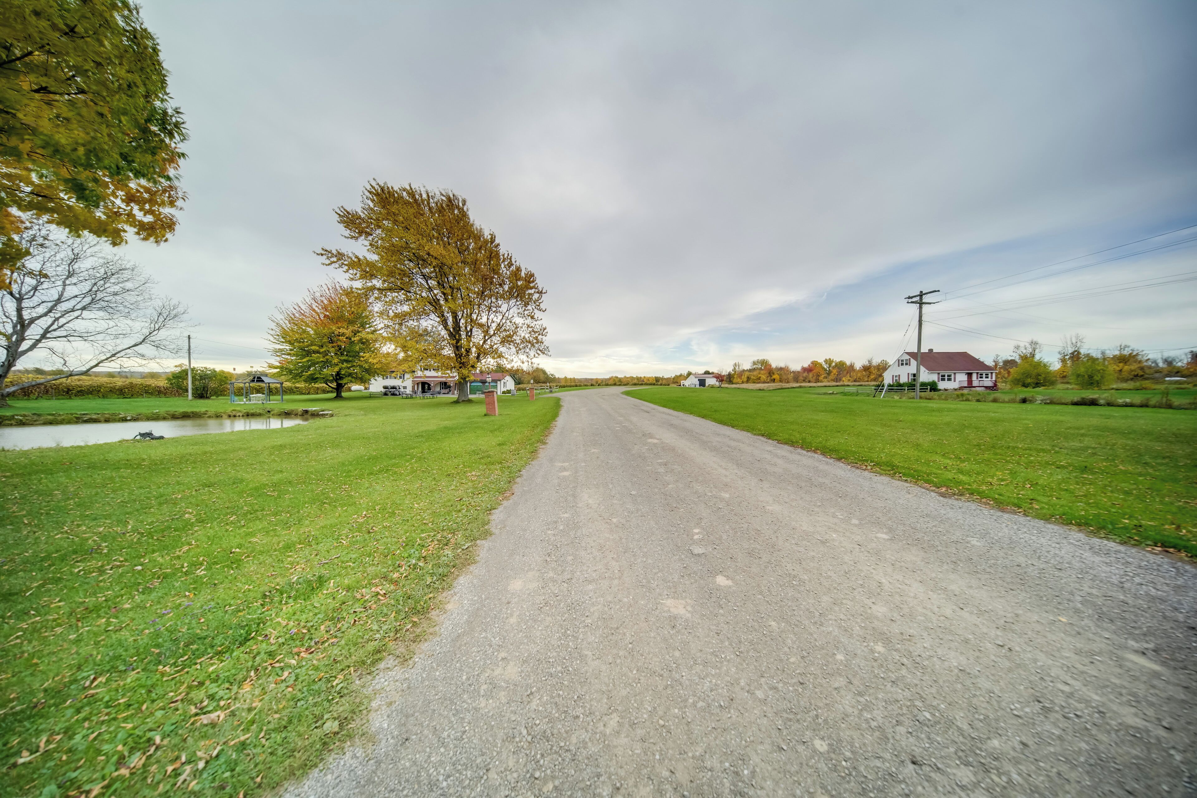 A rural road flanked by grassy fields and a small body of water.