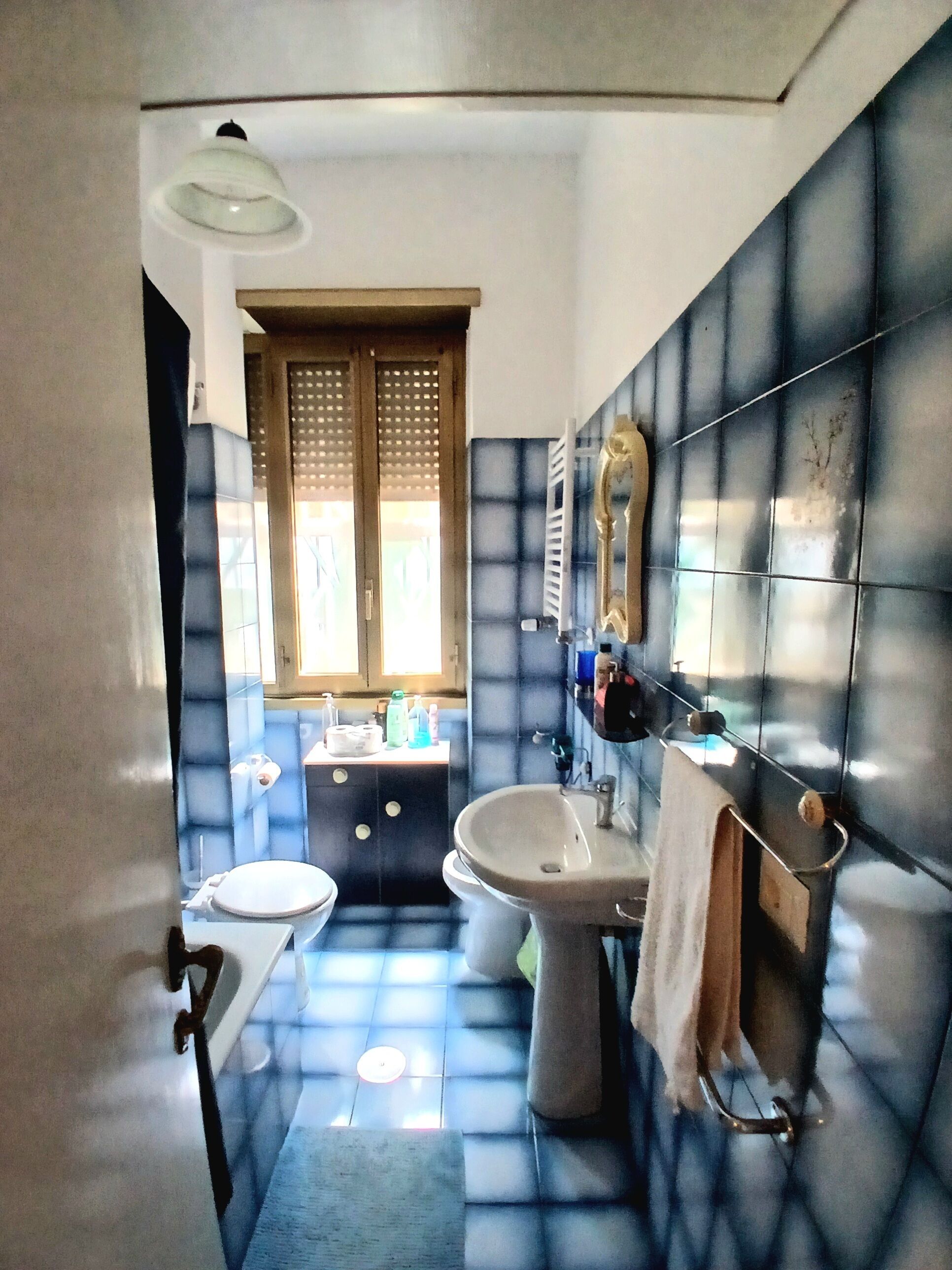 Hårtørrer, bidet, håndklæder, Sæbe
