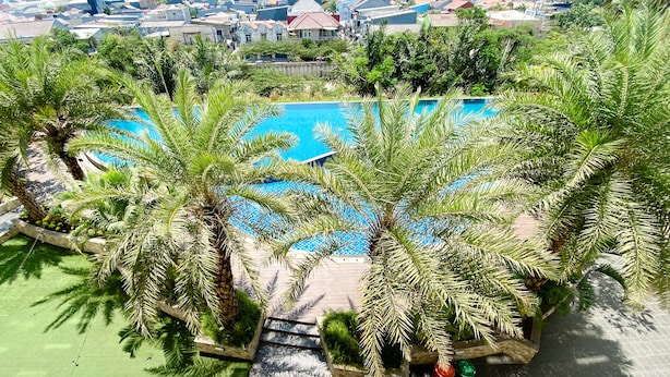 A swimming pool surrounded by palm trees, with a view of a residential area in the background.