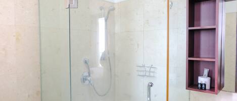 Ducha con cerramiento de vidrio, ducha de mano y barra de soporte.