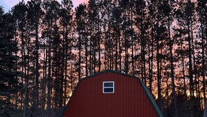 A red barn with two windows and a door, surrounded by snow and tall pine trees. - Between Crystal Mountain & TC - Barn - Guest house on 10acres. Pet-friendly! (Interlochen)