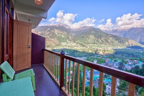 Hill view - BD RESORT (Manali)
