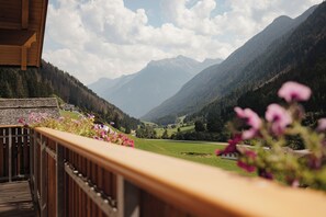Property grounds - Untermairhof Penthouse (Mühlwald)
