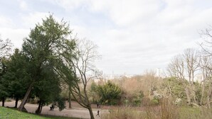 Een park met bomen en een geplaveid pad.