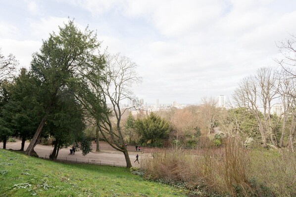 Un parc avec des arbres et un chemin dallé.