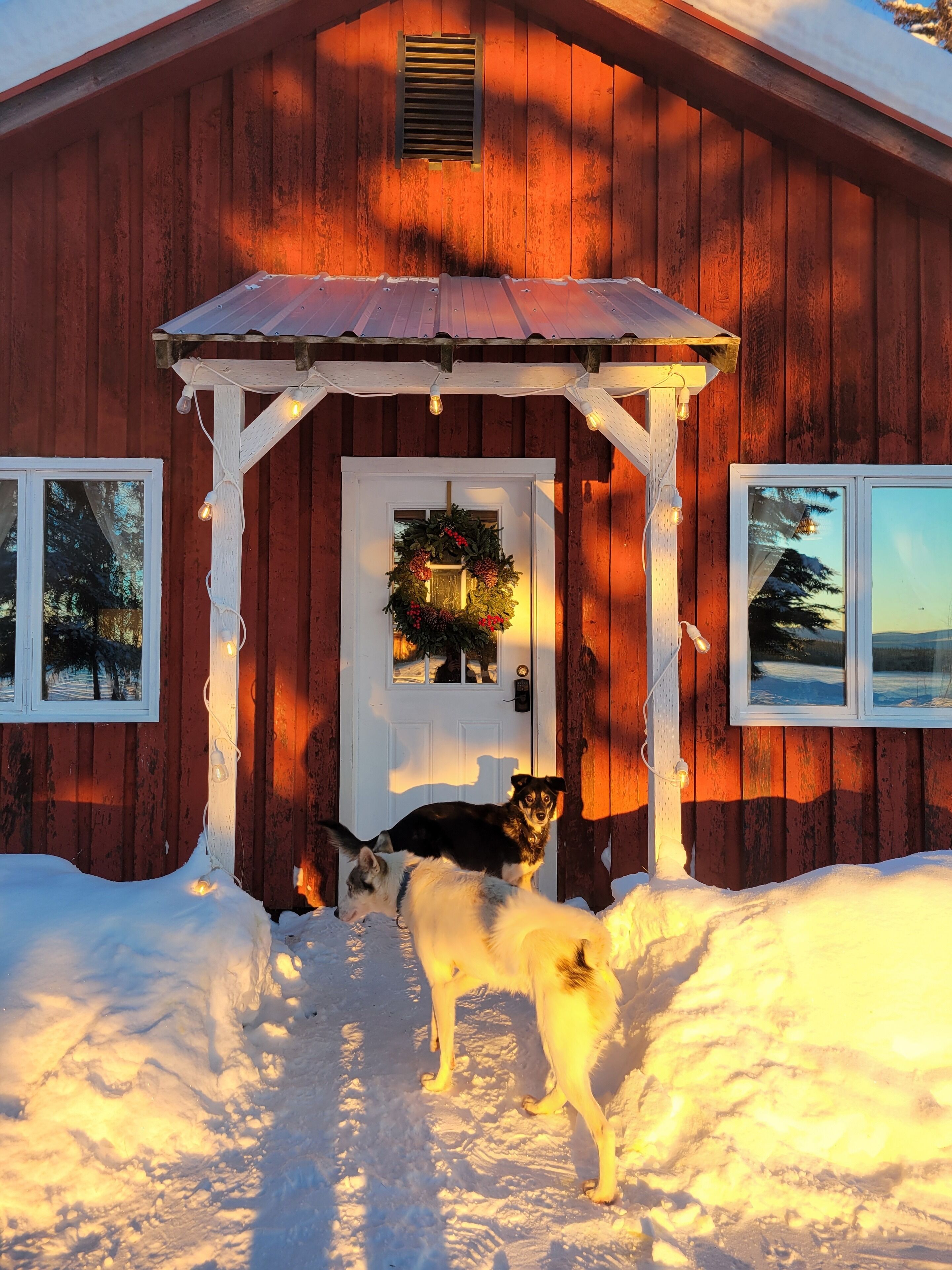 A wooden cabin with a porch, a door with a wreath, and two dogs standing in the snow.