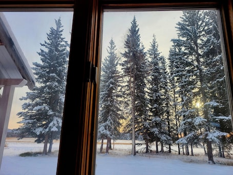 Interior. On-site Sled Dog Demo! Big sky aurora! Stunning views.