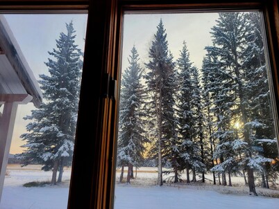 Big sky aurora! Stunning views. On-Site Sled Dog tour available!