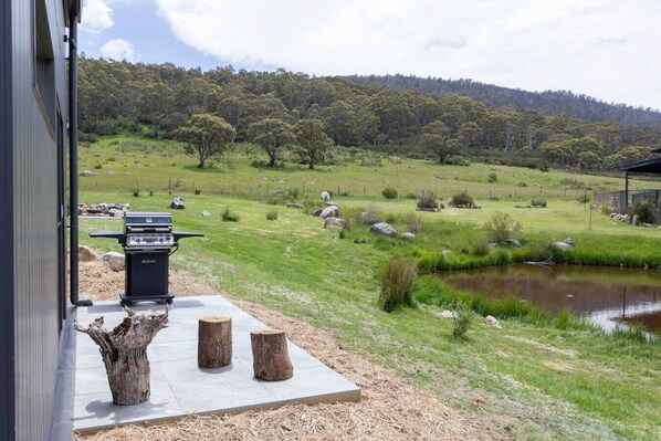 Unclassified image, 1 of 23, button - Frog Hollow | Crackenback | Cosy retreat | Studio (Crackenback)
