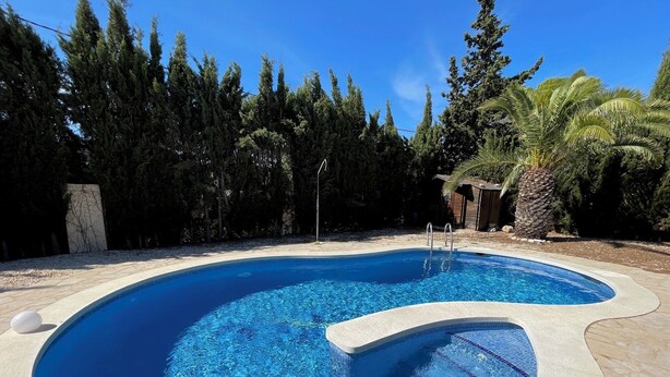 A swimming pool with a curved design, surrounded by a stone deck and a backdrop of tall trees and a palm tree. - SAONA VILLAS (VN CARL) : Villa, private swiming pool, wifi, 4 people (Tres Calas)
