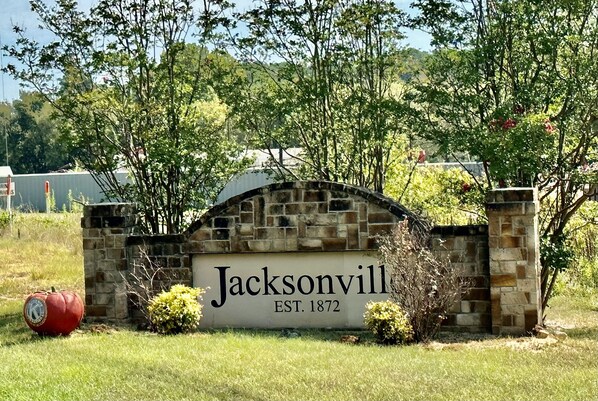 Property grounds - Cozy cottage in peaceful, rural setting, 15min away from public beach on lake (Jacksonville)