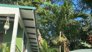 A two-story building with a green exterior and a balcony. - Jungle luxury on a budget,, brand new space (Puerto Carrillo)