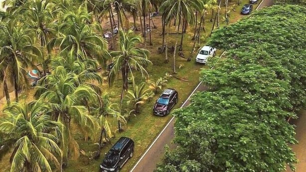 A coastal road lined with palm trees and parked cars, leading to a beach with clear blue water and rocky outcrops. - Jungle luxury on a budget,, brand new space (Puerto Carrillo)