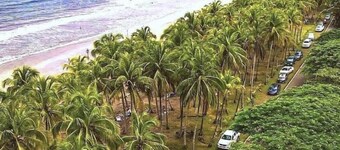 Jungle luxury on a budget,, brand new space