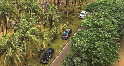 Jungle luxury on a budget,, brand new space