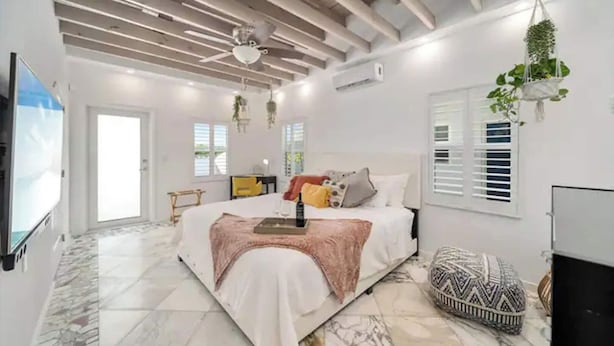 A spacious bedroom with a large bed, a ceiling fan, a TV, and a hanging plant.